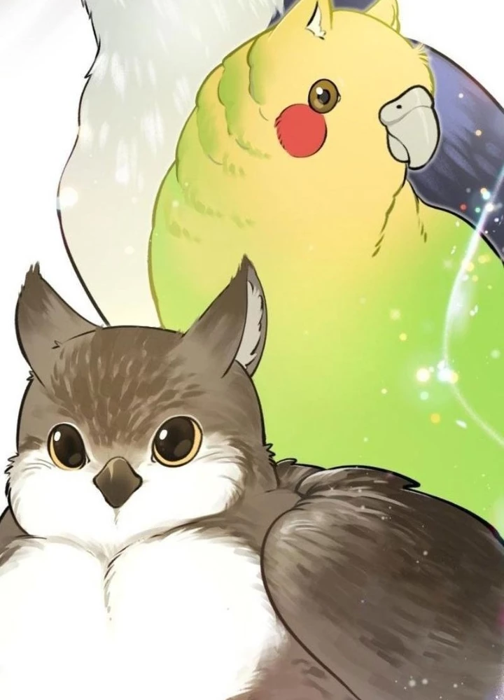 Chào Nhé, Griffin Mắt Tròn! Chapter 1 - 49