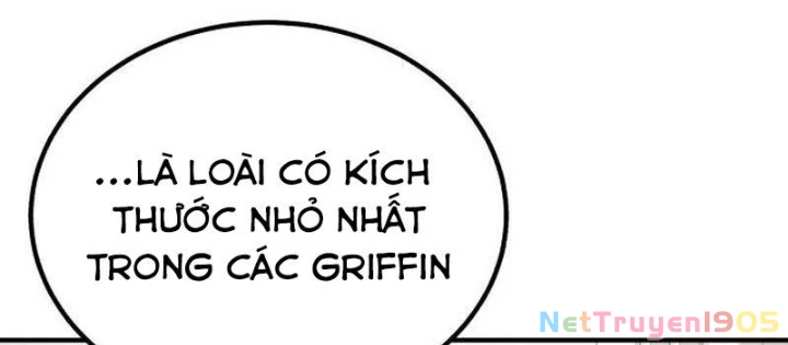 Chào Nhé, Griffin Mắt Tròn! Chapter 1 - 56