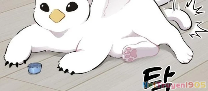 Chào Nhé, Griffin Mắt Tròn! Chapter 1 - 154