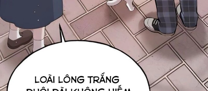 Chào Nhé, Griffin Mắt Tròn! Chapter 2 - 8