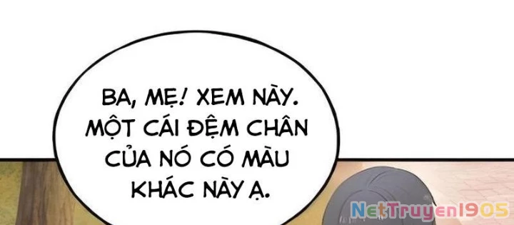 Chào Nhé, Griffin Mắt Tròn! Chapter 2 - 46