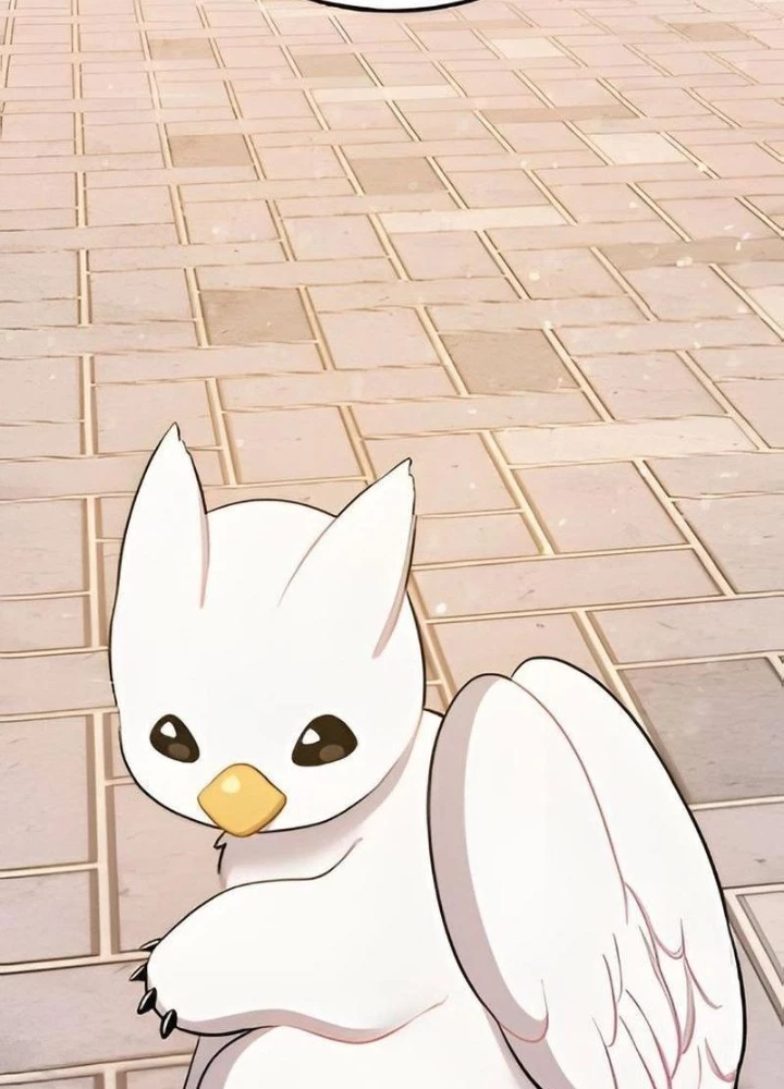 Chào Nhé, Griffin Mắt Tròn! Chapter 2 - 73