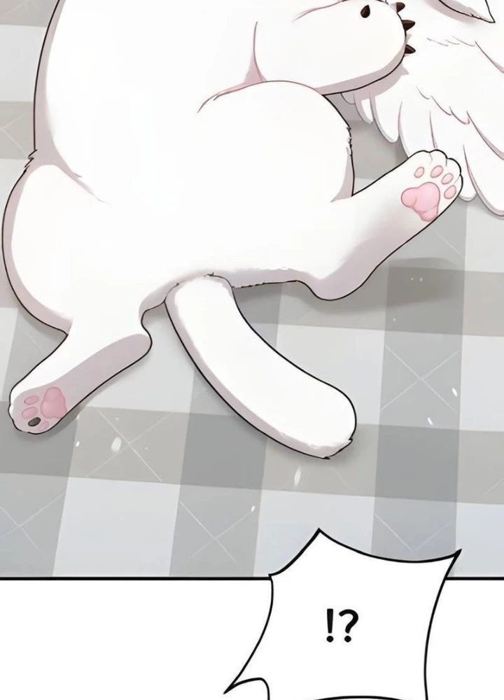 Chào Nhé, Griffin Mắt Tròn! Chapter 2 - 169
