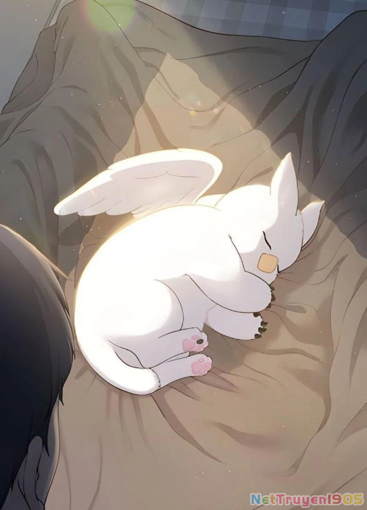 Chào Nhé, Griffin Mắt Tròn! Chapter 2 - 207