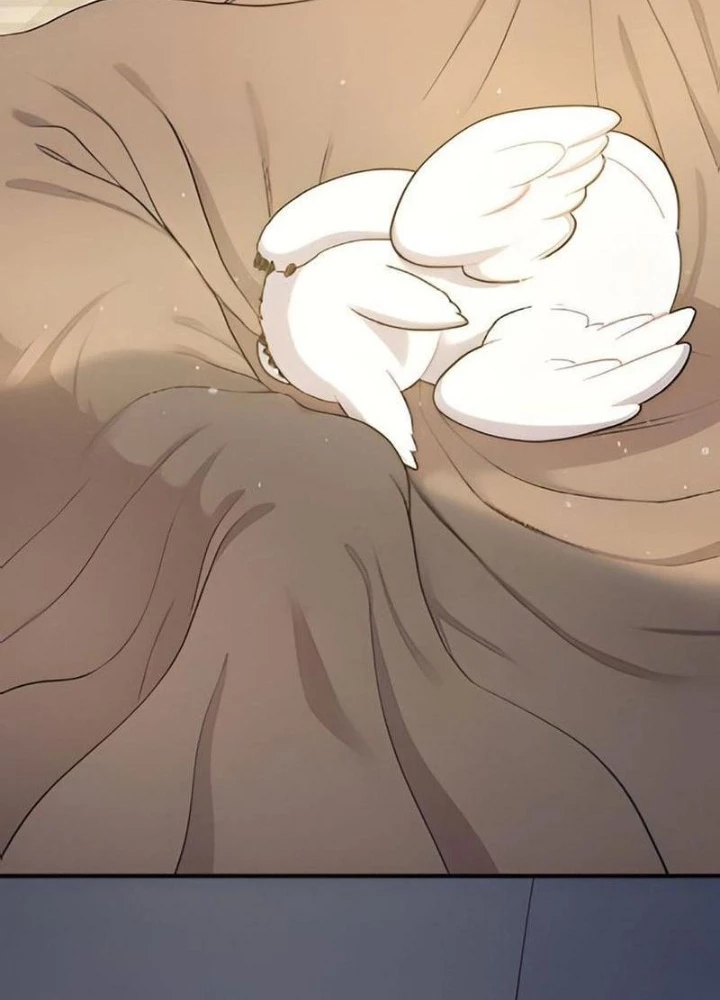 Chào Nhé, Griffin Mắt Tròn! Chapter 2 - 215