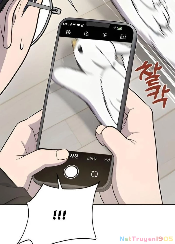 Chào Nhé, Griffin Mắt Tròn! Chapter 3 - 9