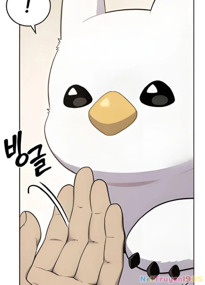 Chào Nhé, Griffin Mắt Tròn! Chapter 3 - 75