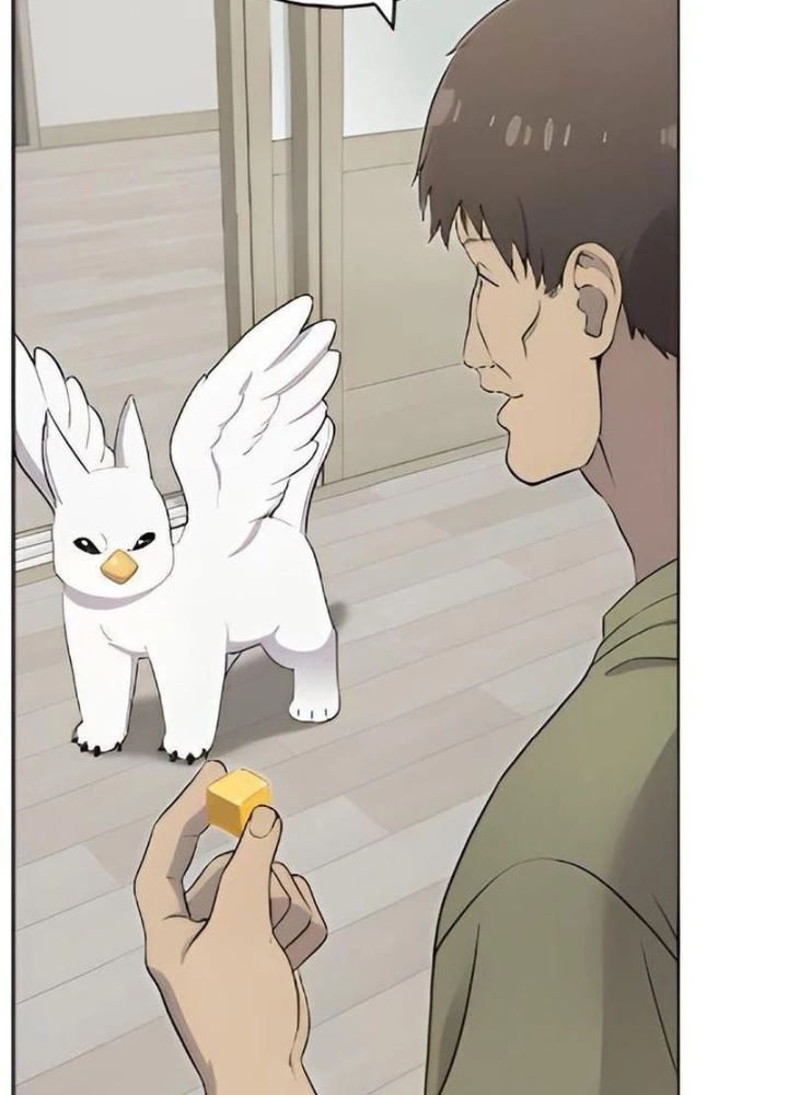 Chào Nhé, Griffin Mắt Tròn! Chapter 3 - 91