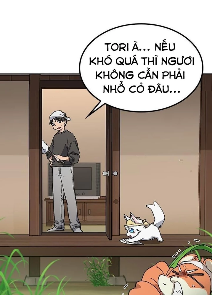 Chữa Lành Cuộc Sống Thông Qua Cắm Trại Ở Thế Giới Khác Chapter 58 - 11