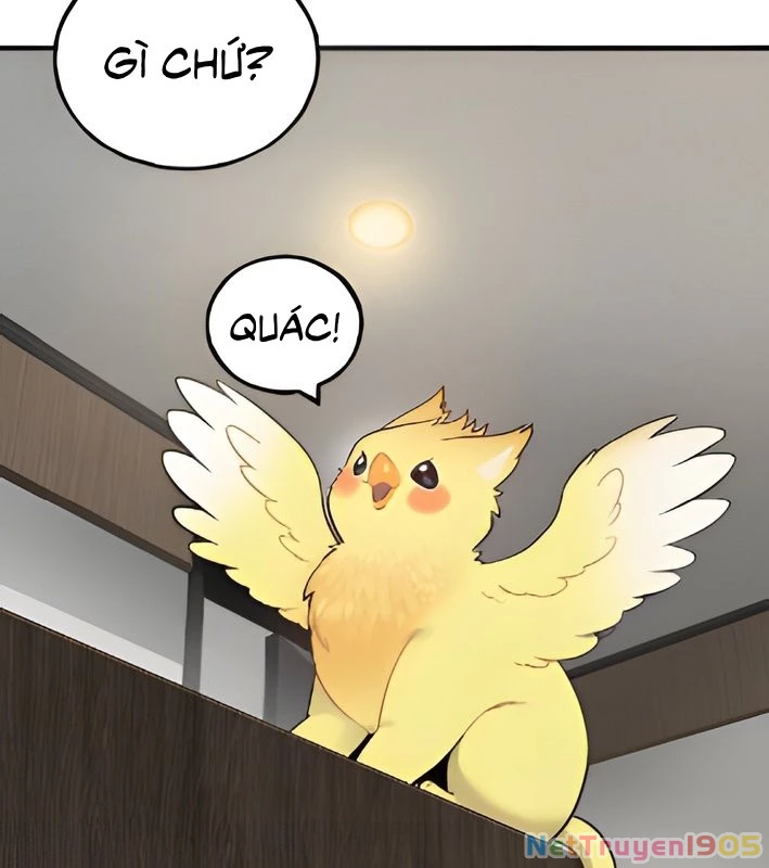 Chào Nhé, Griffin Mắt Tròn! Chapter 4 - 35