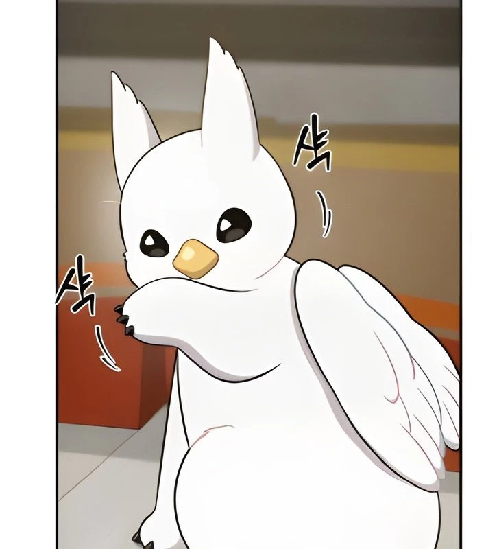 Chào Nhé, Griffin Mắt Tròn! Chapter 4 - 49