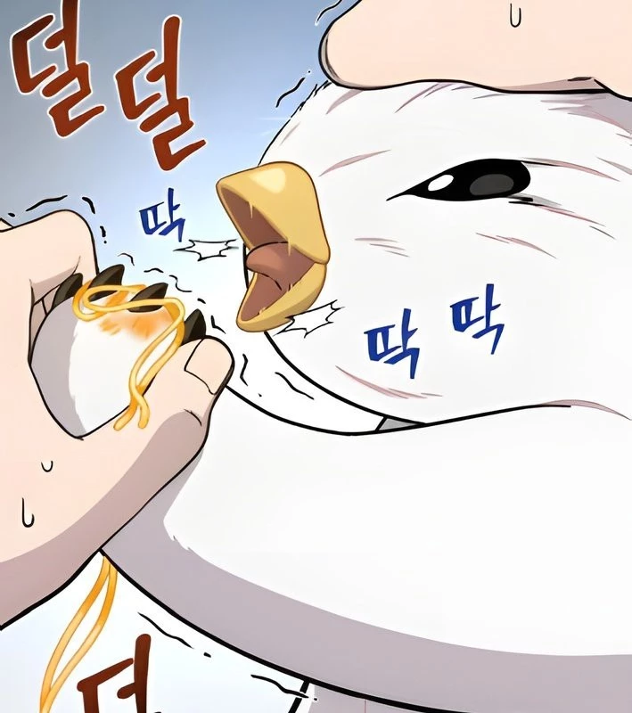 Chào Nhé, Griffin Mắt Tròn! Chapter 4 - 101