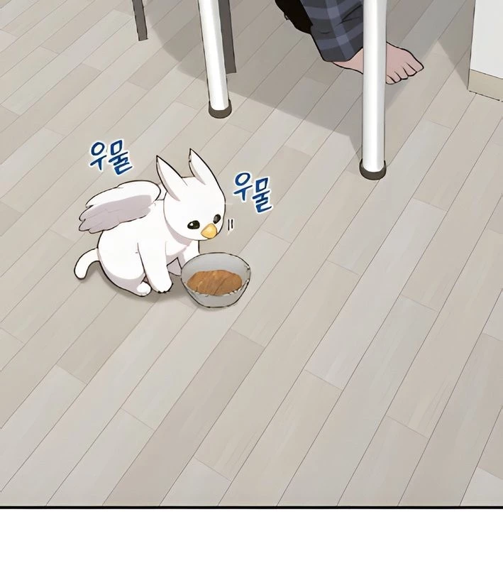 Chào Nhé, Griffin Mắt Tròn! Chapter 4 - 131