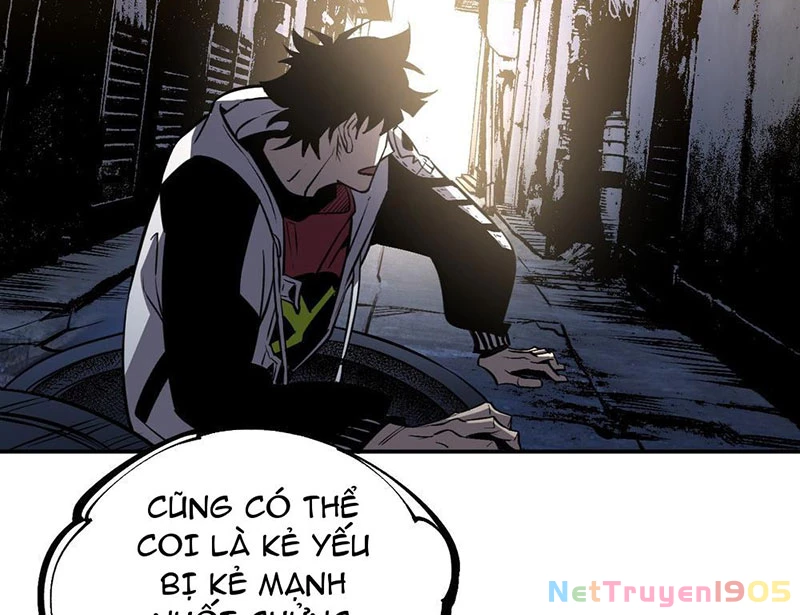 Kẻ Ký Sinh Trên Người Ta Không Dễ Chọc Chapter 11 - 52