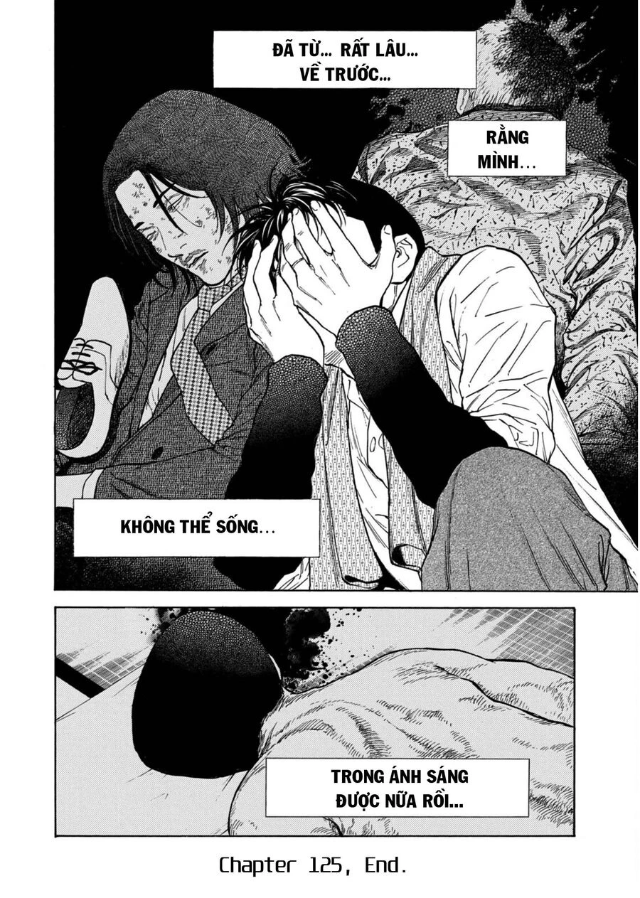 My Home Hero Chapter 125 - 20