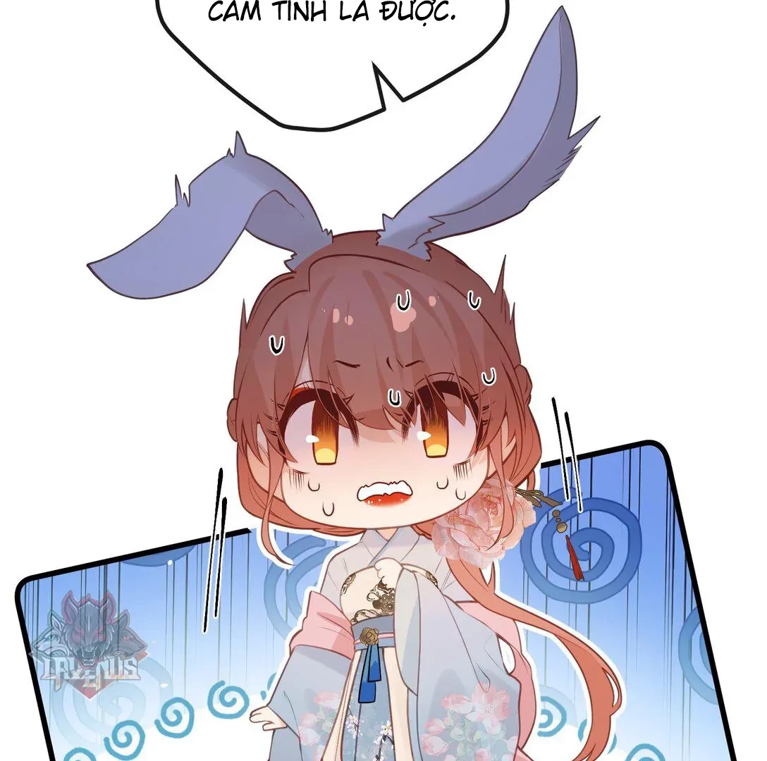 Nghe Nói Thái Hậu Với Thái Hậu Là Thật Sao? Chapter 43 - 11
