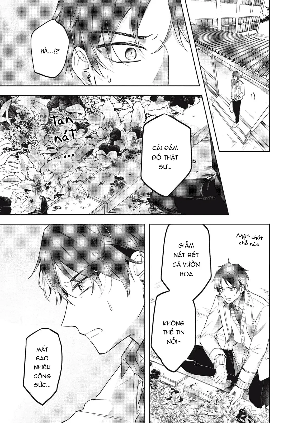 Bão Tố Và Hoa Tuyết Điểm Chapter 1 - 33