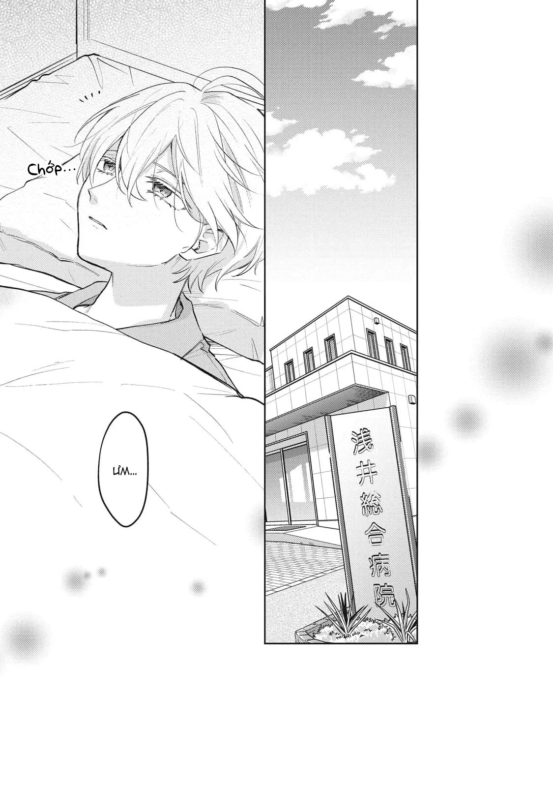 Bão Tố Và Hoa Tuyết Điểm Chapter 4 - 38