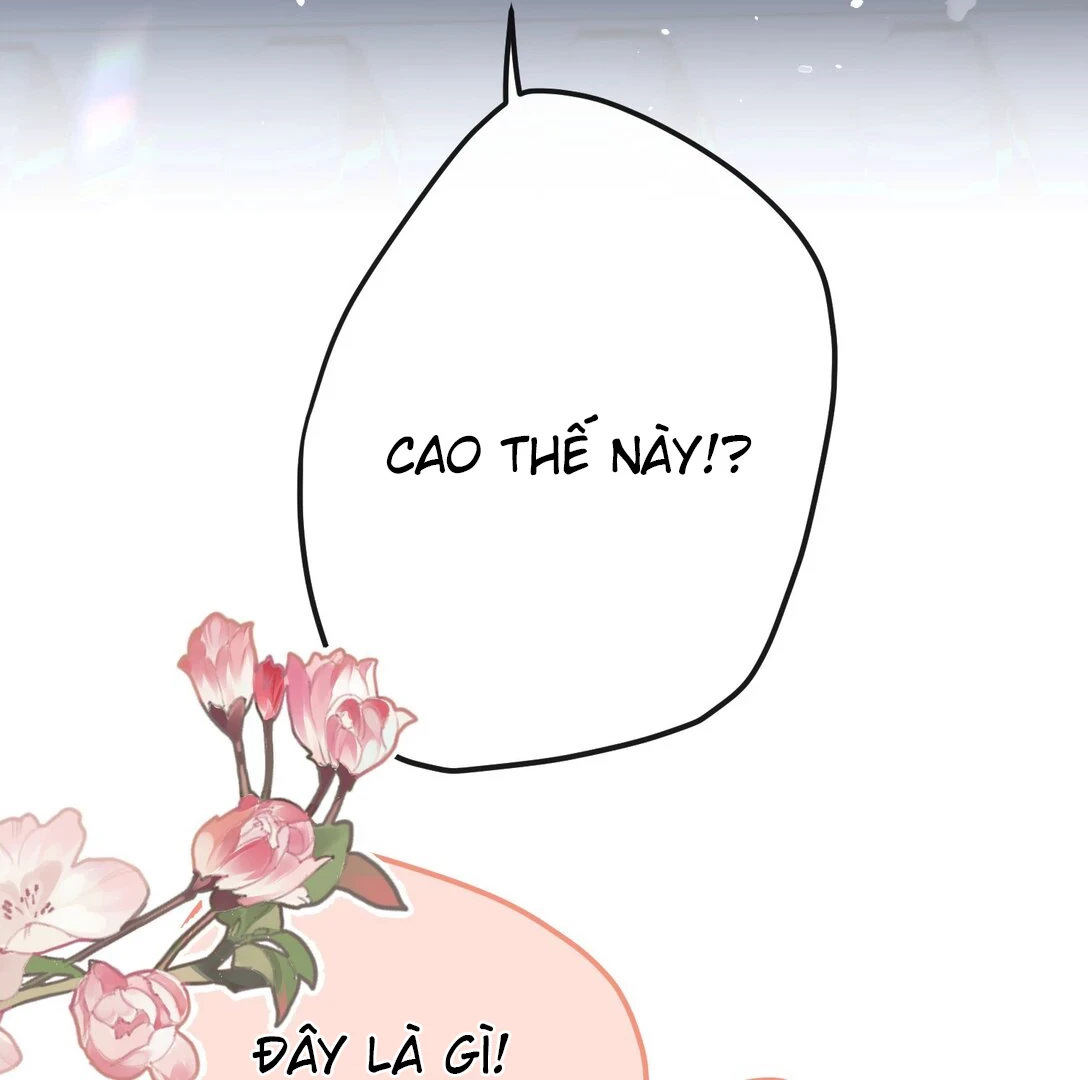 Nghe Nói Thái Hậu Với Thái Hậu Là Thật Sao? Chapter 46 - 9