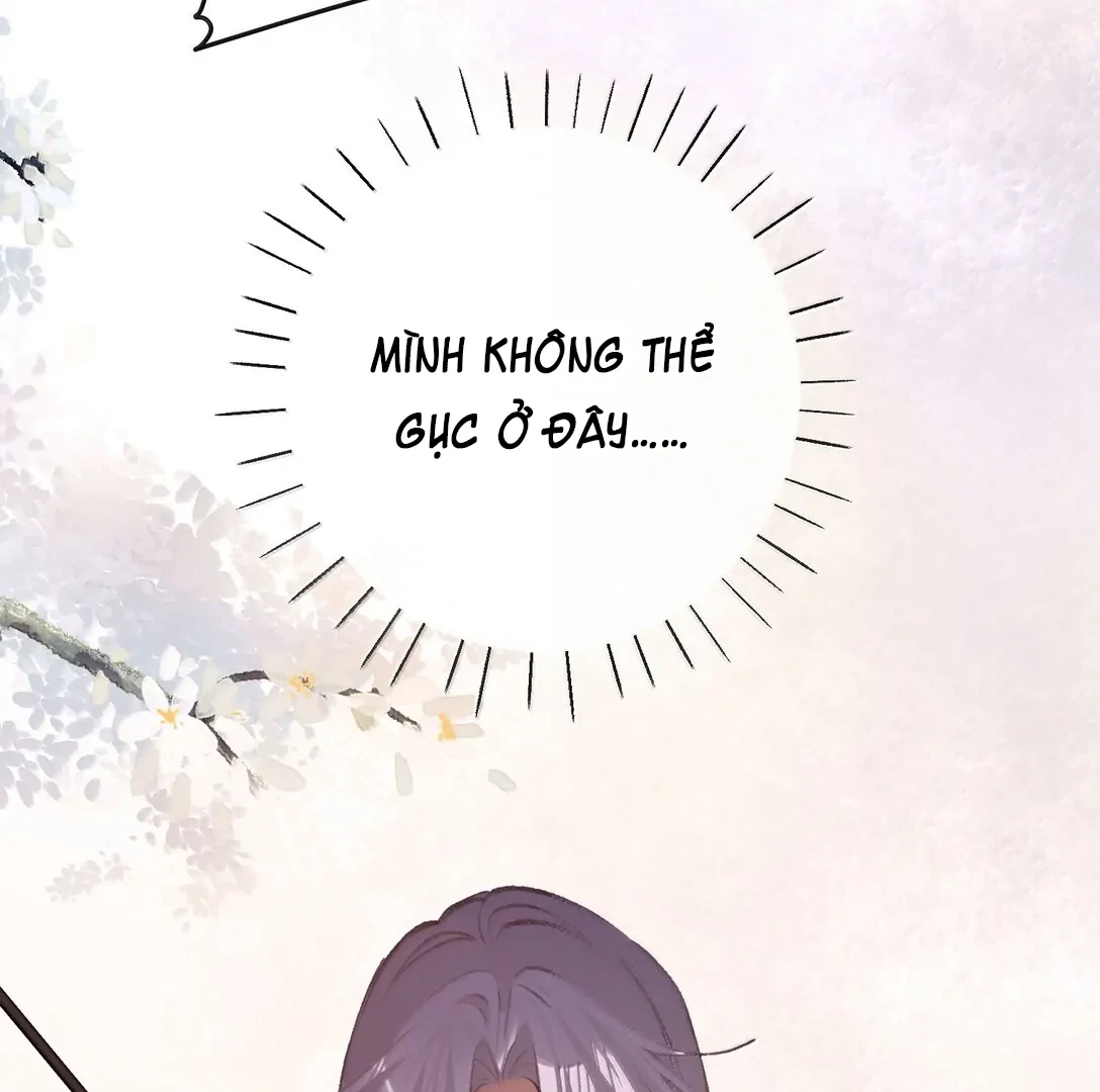 Nghe Nói Thái Hậu Với Thái Hậu Là Thật Sao? Chapter 48 - 35