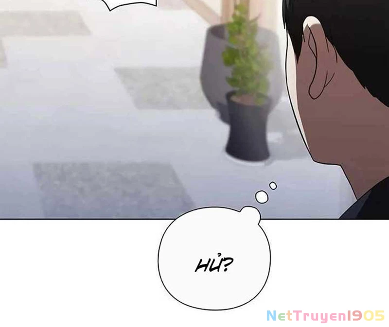 Người Giám Định Cổ Vật Chapter 44 - 224