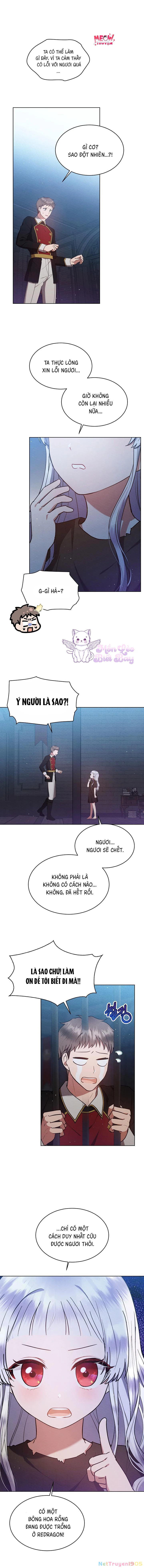 Tôi Ở Đây Để Trả Thù Chapter 2 - 12