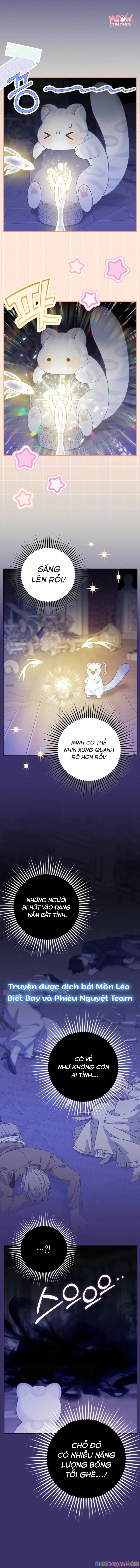 Tiểu Thư Báo Tuyết Của Gia Tộc Báo Đen Chapter 40 - 9
