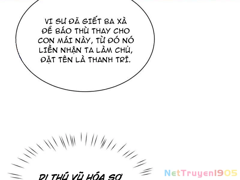 Toàn Chức Kiếm Tu Chapter 60 - 47