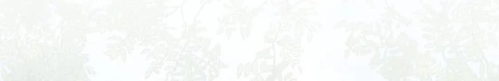 Đảo Ngược Cuộc Đời Của Tôi Như Một Nhân Vật Phụ Chapter 50 - 95