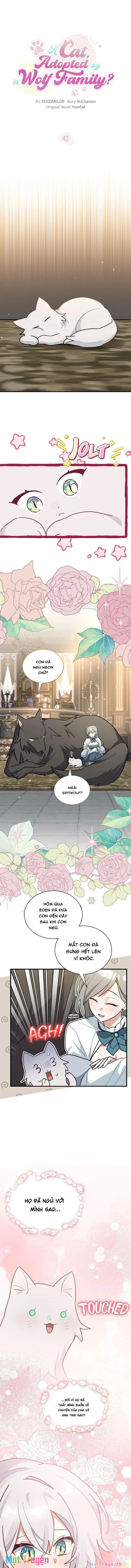 Mèo Con Được Gia Tộc Sói Nhận Nuôi? Chapter 42 - 6
