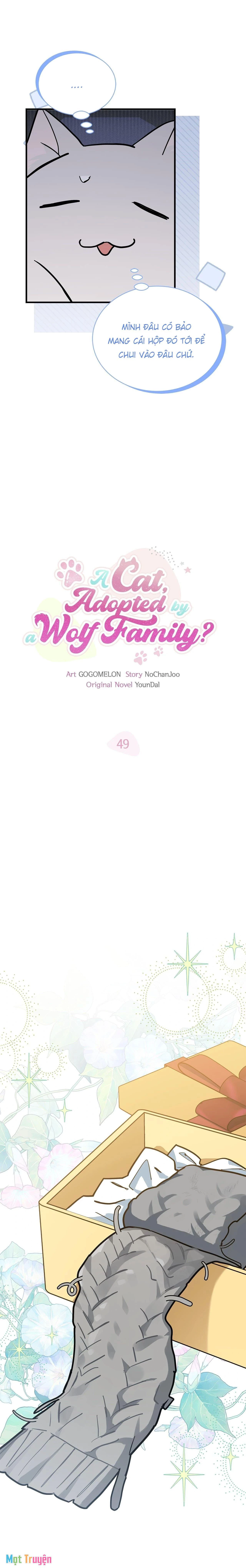 Mèo Con Được Gia Tộc Sói Nhận Nuôi? Chapter 49 - 2