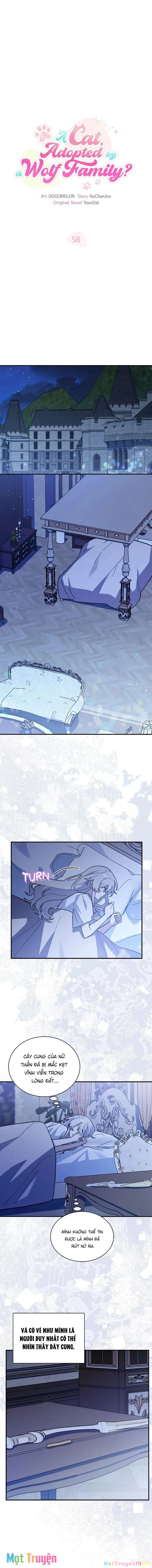 Mèo Con Được Gia Tộc Sói Nhận Nuôi? Chapter 58 - 9