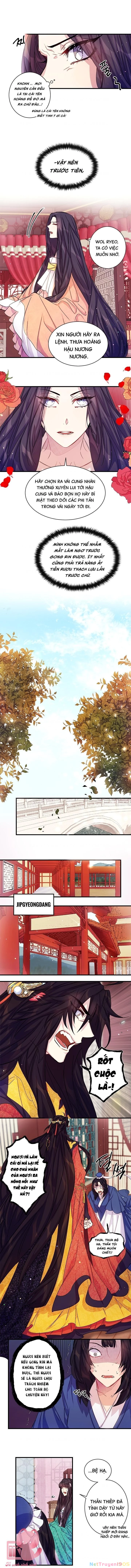 Sinh Viên Đại Học Hoàng Hậu Chapter 24 - 3
