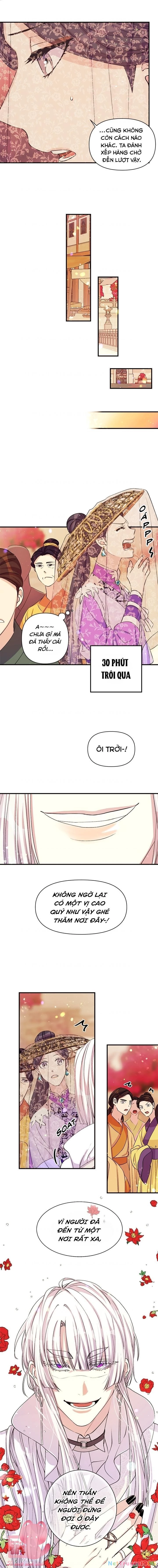 Sinh Viên Đại Học Hoàng Hậu Chapter 45 - 6
