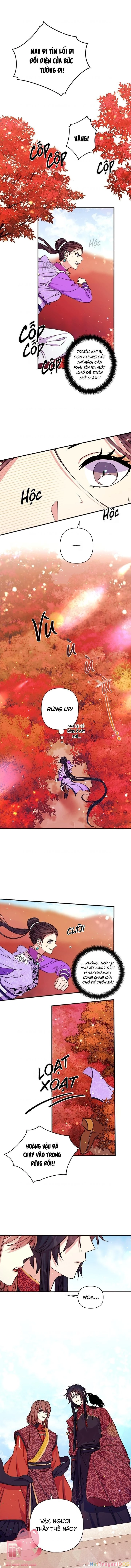 Sinh Viên Đại Học Hoàng Hậu Chapter 48 - 5