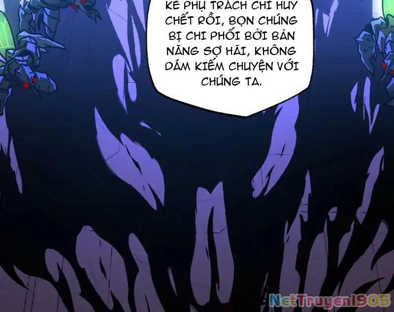 Tai Ách Cấp Mục Sư Chapter 52 - 14