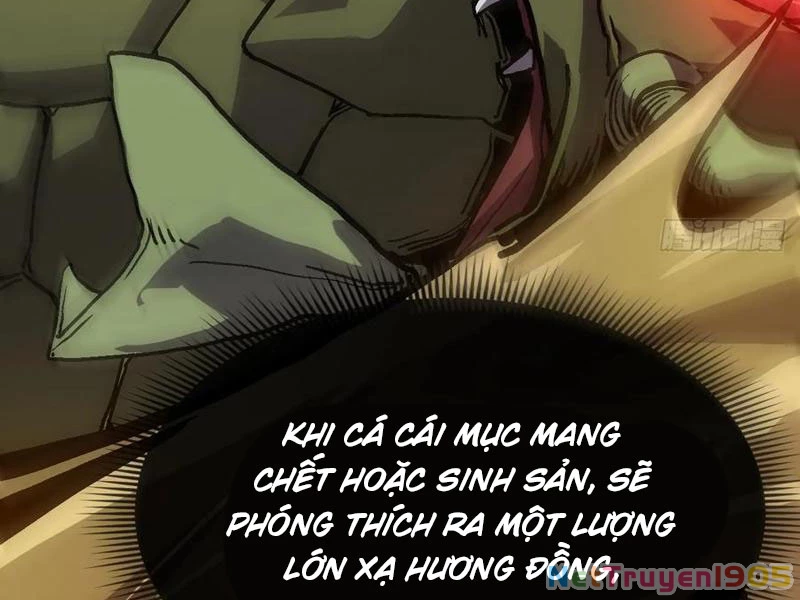 Dị Biến Giáng Lâm Nhân Gian: Triệu Hoán Chi Chủ! Chapter 22 - 69