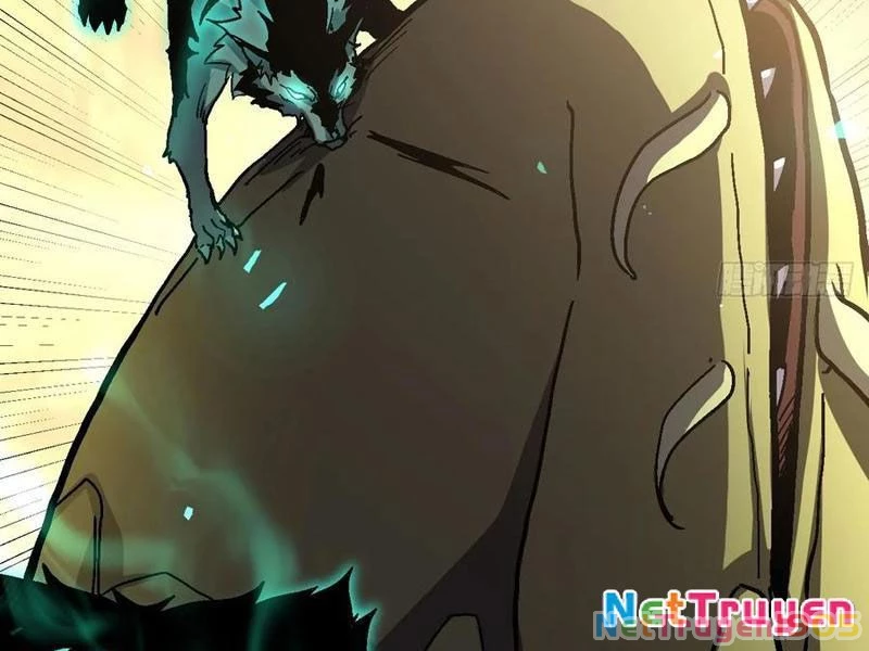 Dị Biến Giáng Lâm Nhân Gian: Triệu Hoán Chi Chủ! Chapter 22 - 111