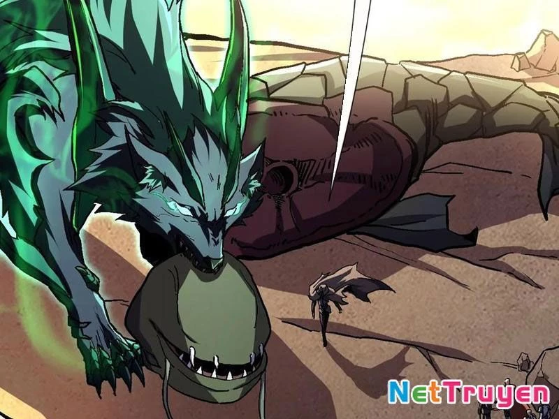 Dị Biến Giáng Lâm Nhân Gian: Triệu Hoán Chi Chủ! Chapter 22 - 146
