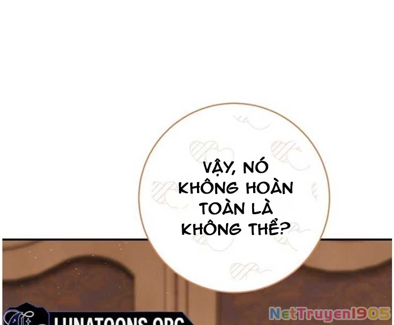 Không Phải Con Trai Mà Là Cha Chapter 20 - 195