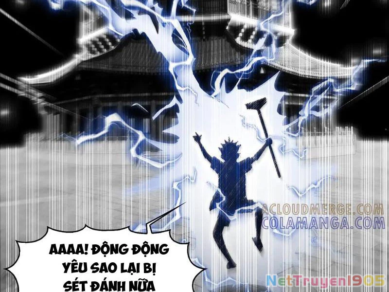Trước mặt bệnh tâm thần, quỷ dị chẳng là gì cả Chapter 149 - 24