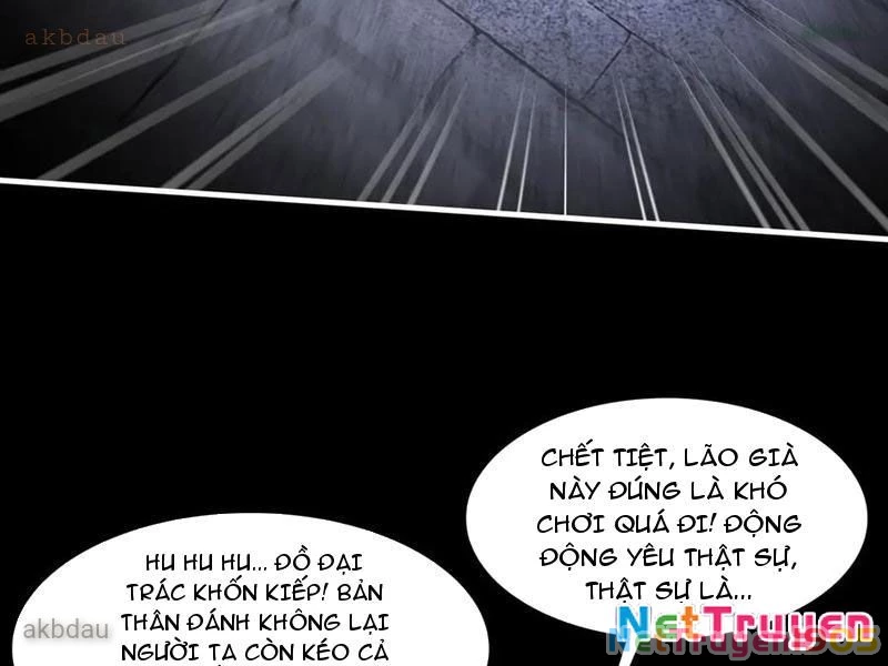 Trước mặt bệnh tâm thần, quỷ dị chẳng là gì cả Chapter 149 - 41