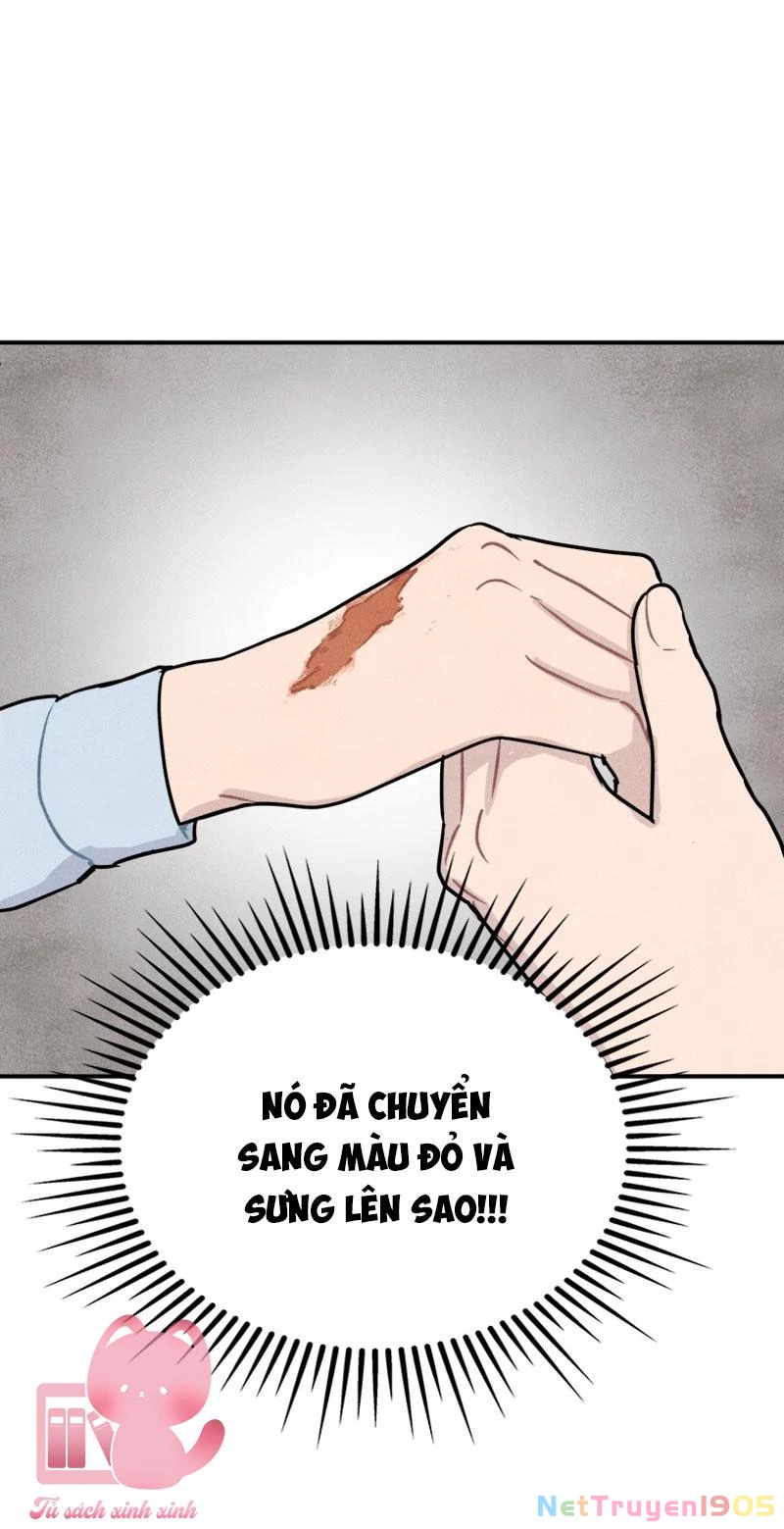 Phù Thủy Độc Dược Chapter 11 - 16