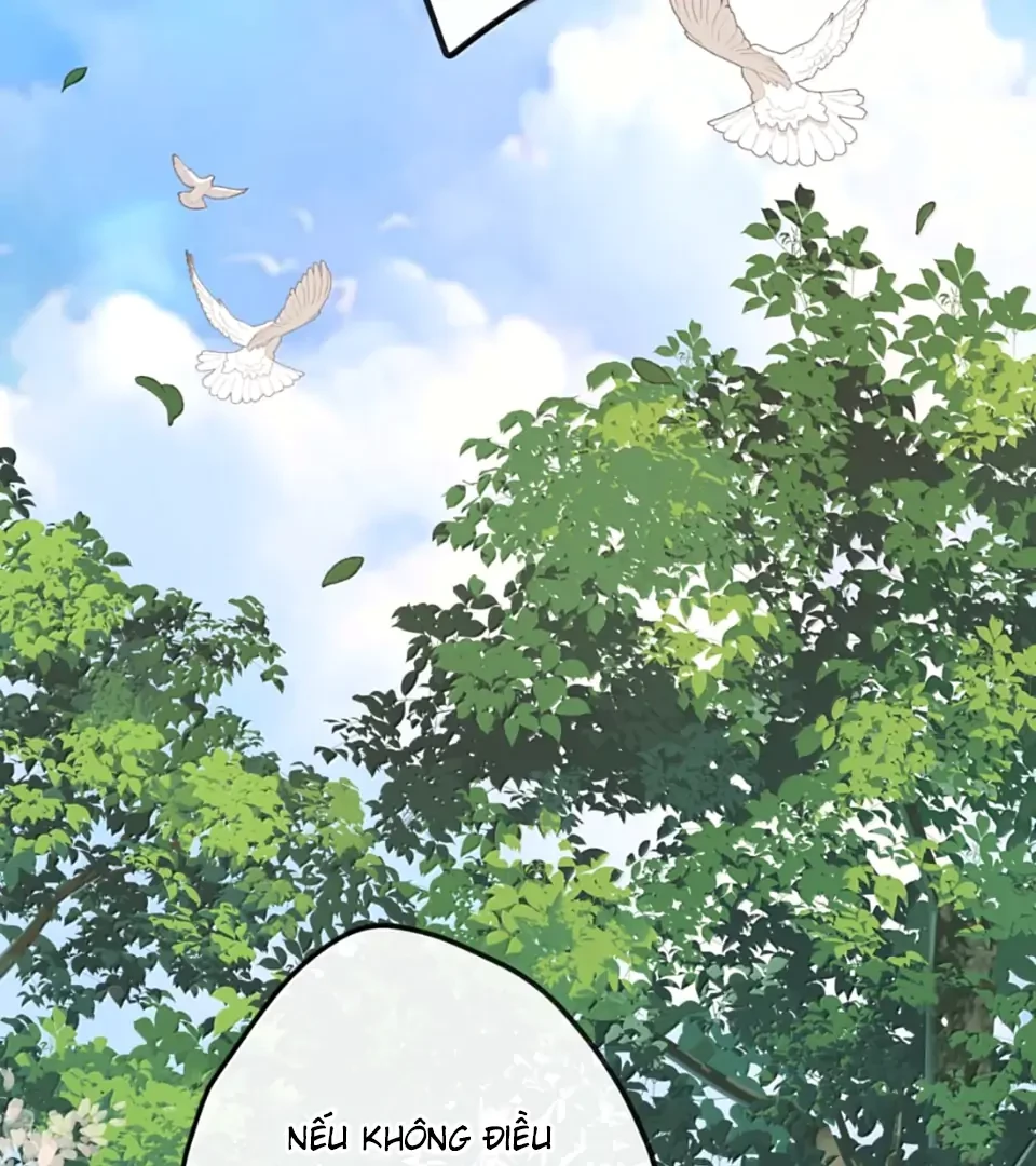 Nghe Nói Thái Hậu Với Thái Hậu Là Thật Sao? Chapter 90 - 43