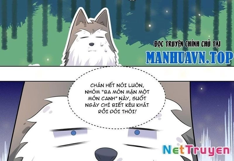 Trọng Sinh Thành Chó Của Nữ Thần Chapter 407 - 26