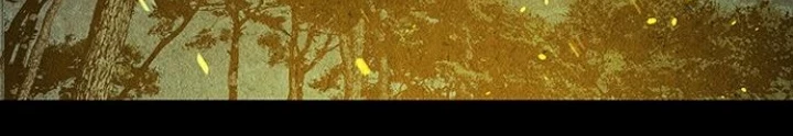 Cửa Hàng Đồ Cổ Tương Lai Chapter 44 - 130