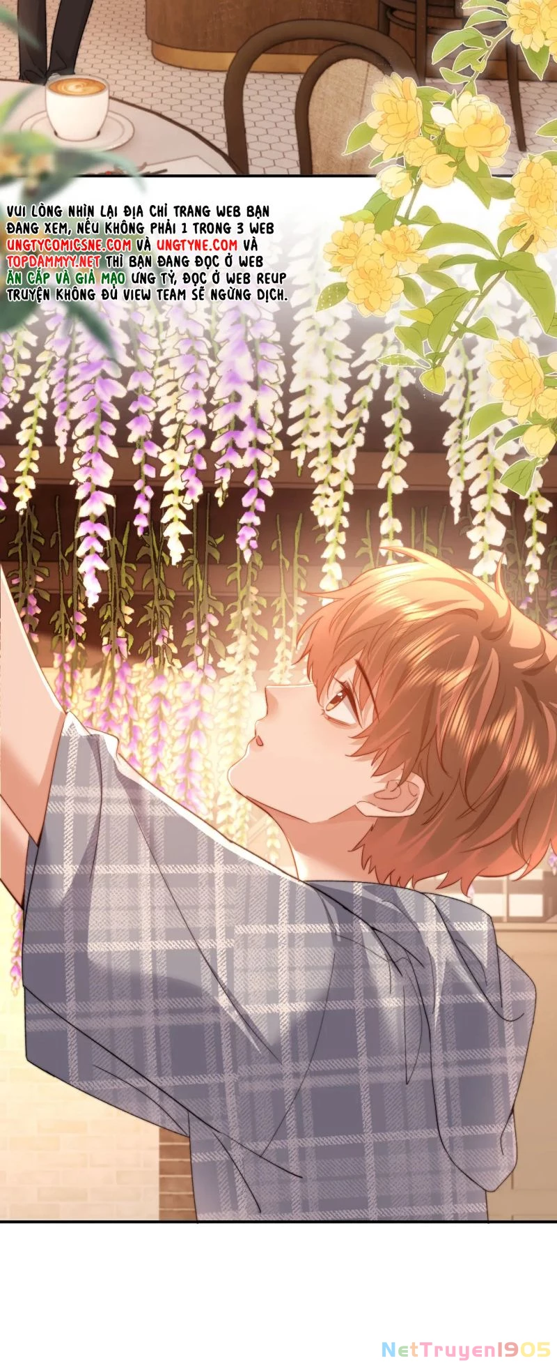 Chất Dị Ứng Đáng Yêu Chapter 104 - 4