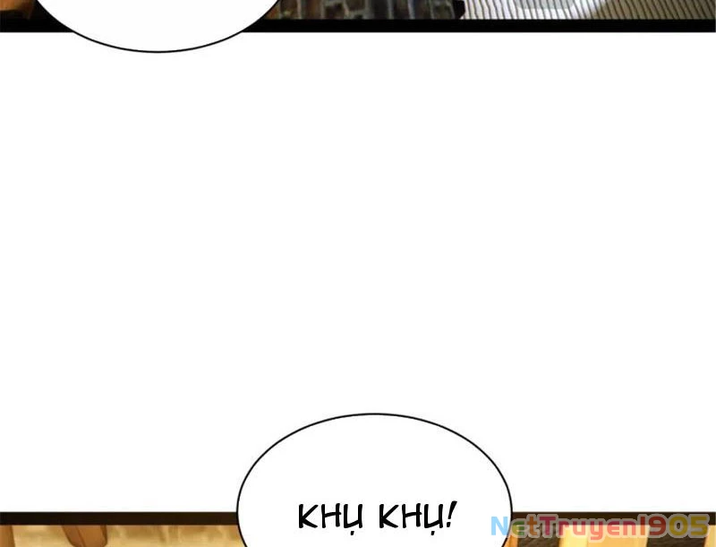 Chàng Rể Mạnh Nhất Lịch Sử Chapter 314 - 23