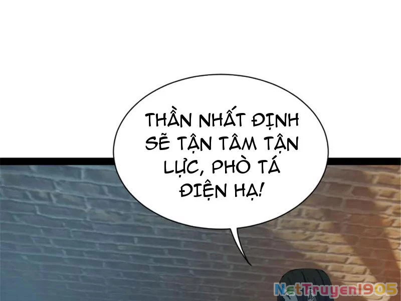 Chàng Rể Mạnh Nhất Lịch Sử Chapter 314 - 61
