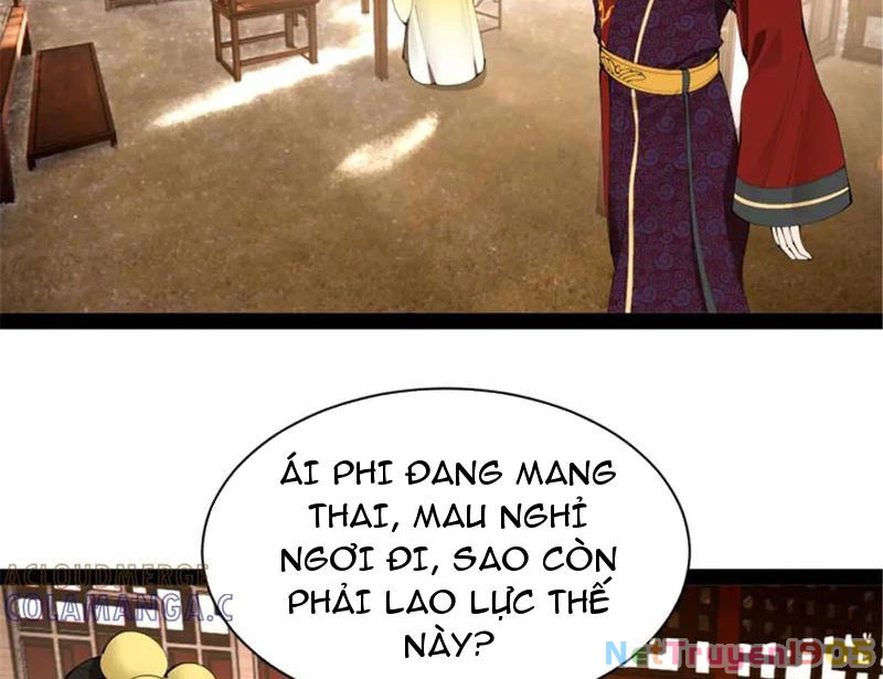 Chàng Rể Mạnh Nhất Lịch Sử Chapter 314 - 82